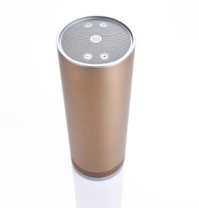 Stelle Audio Pillar