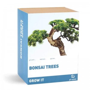 Grow It - Bonsai Tree