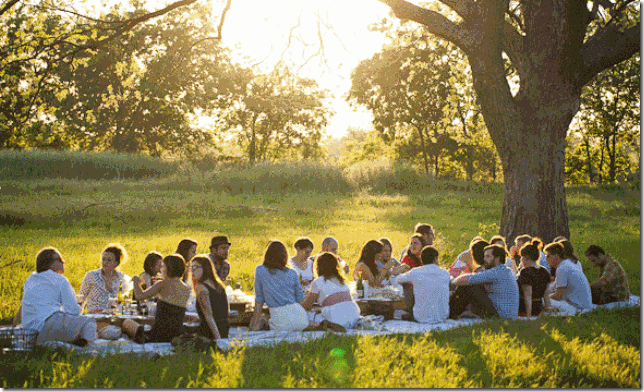 Adult-Birthday-Party-Themes-Picnic Theme For A Birthday Party