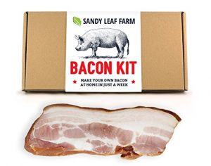  Bacon Kit