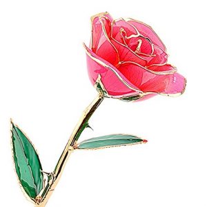 24-carat gold dipped rose