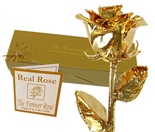 24K Gold Dipped Rose