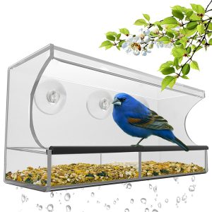 Nature’s Hangout Bird Feeder