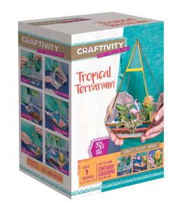 Tropical terrarium gift