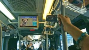 Special videos on metro