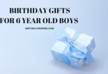 BIRTHDAY GIFT FOR 6 YEAR OLD BOY