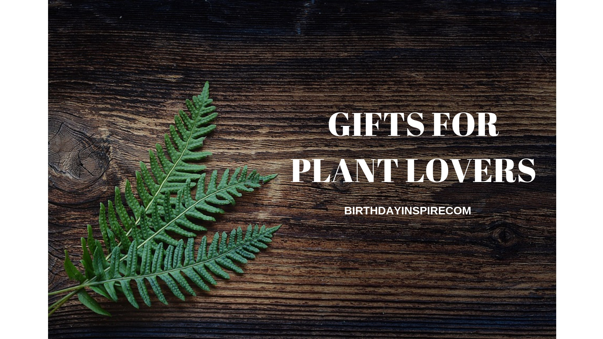 GIFTS FOR PLANT LOVERS