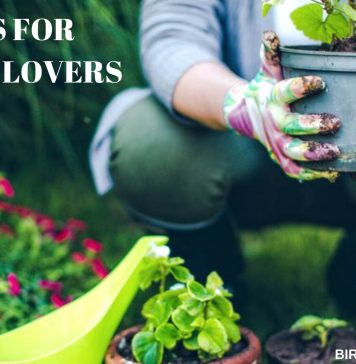 GIFTS FOR GARDEN LOVERS