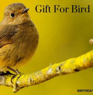 Gift For Bird Lover