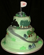 Over The Hill Birthday Cake ideas